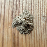 BLENDS For Life Pancreas Support